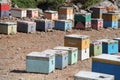 Colorful Beehive Boxes