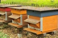 Colorful beehives