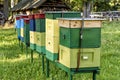 Colorful beehives on a farm