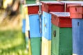 Colorful beehives on a farm