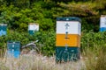 Colorful beehives in a field with trees in Greece