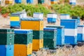 Colorful beehives in a field with trees in Greece