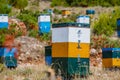 Colorful beehives in a field with trees in Greece