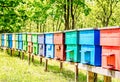Colorful Beehives in a Row Royalty Free Stock Photo