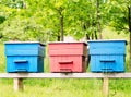 Colorful Beehives Royalty Free Stock Photo