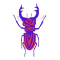 Colorful Beetle deer. Abstract stag-beetle for T-shirt, poster print. Vector hand drawn illustration