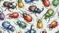 Colorful Beetles Pattern on White Background Royalty Free Stock Photo
