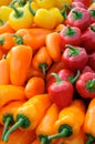 Colorful bell peppers