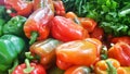 colorful bell peppers, Vegetable