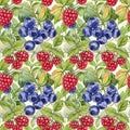 Colorful Berries Pattern with Green Leaves Royalty Free Stock Photo