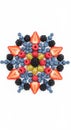 Colorful Berry Mandala on White Background Royalty Free Stock Photo
