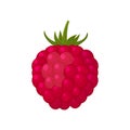 Colorful berry raspberry icon on white background.