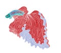 Colorful Betta fish vector.beautiful Fighting fish.