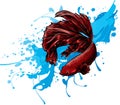 Colorful Betta Fish with water splash Vector Illustration.