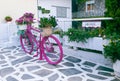 Colorful bicycles in the yeard or ourdoors