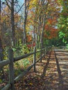 Colorful Bike Path Royalty Free Stock Photo