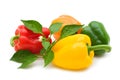 Colorful bio fresh paprika