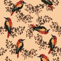 Colorful bird background 3