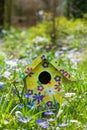 Colorful bird house in a meadow Royalty Free Stock Photo