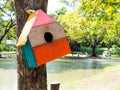 Colorful Bird Houses in the park Hanging on a tree, The bird house was placed at various points.birdhouse forest with many brightl