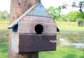 Colorful Bird Houses in the park Hanging on a tree, old bird house in park, bird house with natural green leaves background. Royalty Free Stock Photo