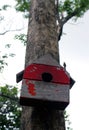 Colorful Bird Houses in the park Hanging on a tree, old bird house in park, bird house with natural green leaves background. Royalty Free Stock Photo