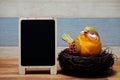 Colorful bird with nest and space copy wooden blackboard