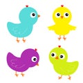 Colorful bird set icon. Face head. Chicken chick. Cute cartoon funny kawaii baby character. Happy Easter. Friends forever.
