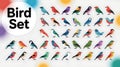 Colorful bird silhouette icon bundle set clean artistic design elements for general use Royalty Free Stock Photo