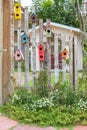 Colorful birdcages hanging
