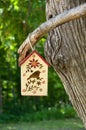 Colorful Birdhouse with Flowers Hanging from a Branch Royalty Free Stock Photo