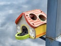 Colorful Birdhouse Over Water Royalty Free Stock Photo