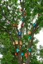 Colorful birdhouses on a big tree. nature protection concept