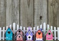 Colorful birdhouses by white picket fence Royalty Free Stock Photo