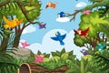 Colorful birds in jungle scene