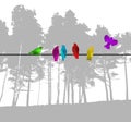 Colored birds on a wire. Tree silhouette. Vector illustration Royalty Free Stock Photo