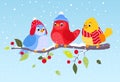 Colorful birds on winter scene