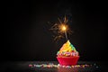 Colorful Birthday Cupcake with Sparkler Royalty Free Stock Photo