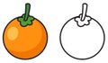 Colorful and black and white oranges for coloring book