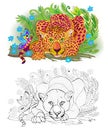 Colorful and black and white page for coloring book for children and adults. Illustration of a cute leopard in jungle.