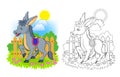 Colorful and black and white page for coloring book. Illustration of cute domestic donkey. Printable worksheet for children