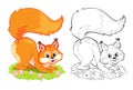 Colorful and black and white page for coloring book. Illustration of cute little squirrel. Printable worksheet for children