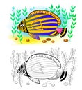 Colorful and black and white page for coloring book for kids. Fantasy drawing of cute tropical emperor angelfish.