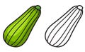 Colorful and black and white zucchini for coloring book