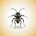 Colorful Black And Yellow Wasp Illustration With Ant Outline Svg Cutout Shape