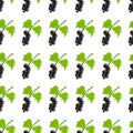 Colorful blackcurrant fruit pattern. Idea for paper, covers, templates, summer spring holidays, natural fruit themes.
