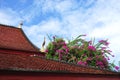 Colorful blooming bougainvillea bushes atop a tile roof at a Buddhist temple in Luang Prabang, Laos Royalty Free Stock Photo