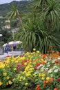 Colorful blooming flowers on the border, palm trees, green yucca, people and mountains visible in the background, Mediterranean la Royalty Free Stock Photo