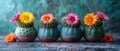 Colorful Blooms on Petite Cacti - Serenity Indoors. Concept Indoor Gardening, Succulent Care,