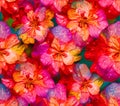 Colorful Blossoms Pattern Vibrant Floral Texture Art Royalty Free Stock Photo